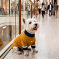 Load image into Gallery viewer, Carson Sweater