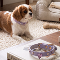 Load image into Gallery viewer, Macaron II-C Crystal Collar