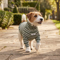 Load image into Gallery viewer, Noel Sweater