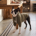 Load image into Gallery viewer, Fontana Hoodie