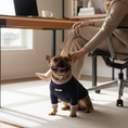 Load image into Gallery viewer, Lakewood Sweater
