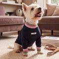 Load image into Gallery viewer, Lakewood Sweater