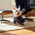 Load image into Gallery viewer, Lakewood Sweater