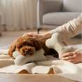 Load image into Gallery viewer, Bone Dog Toy