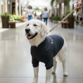 Load image into Gallery viewer, Mine Sweater