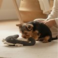 Load image into Gallery viewer, Seahorse Dog Toy