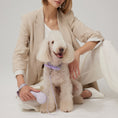 Load image into Gallery viewer, FurRéal Retractable Leash