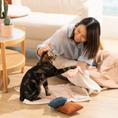 Load image into Gallery viewer, QUIN CUSHION BLANKET