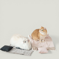Load image into Gallery viewer, QUIN CUSHION BLANKET
