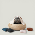 Load image into Gallery viewer, QUIN CUSHION BLANKET