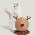 Load image into Gallery viewer, This great toy is perfect for alleviating stress and making playtime even more fun! Utilizing dense, breathable, and non-toxic material, this completely handmade scratching ball's sturdy construction is perfect for your cat's claws and will stand up to playtime all year round.