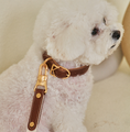 Cargar la imagen en la vista de la galería, ROMA Collar in Romacollar2 – Nala's Pet Boutique
