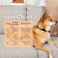 Load image into Gallery viewer, Tailr Slide Pet Tag