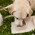 Cargar la imagen en la vista de la galería, GO! PORTABLE BOWLS view 12 – Nala's Pet Boutique