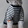 Cargar la imagen en la vista de la galería, Spectra in Spectra.002 – Nala's Pet Boutique
