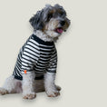 Cargar la imagen en la vista de la galería, Spectra in Spectra – Nala's Pet Boutique