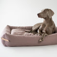 Load image into Gallery viewer, The Stokke Dog Bed is designed with precision and style, reflecting the latest trends in color matching. The base cushions are covered in high-quality cotton and filled with elastic foam, providing comfort and support for your dog's body. With a soft yet firm design, the bed supports the spine and joints while offering a peaceful sleep. The delicate bed cover is made with a durable and easy-to-clean fabric, ensuring both comfort and practicality.