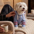 Load image into Gallery viewer, Stripe Hoodie