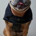 Load image into Gallery viewer, Adjustable waterproof jacket with knit turtleneck and fleece lining. The fleece on the inside keeps your dog warm and comfortable and the knit turtleneck makes the outfit super chic. It is fitted with adjustable velcro straps on the back, black fleece lining for comfort and camel knit turtleneck.