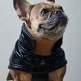 Load image into Gallery viewer, Adjustable waterproof jacket with knit turtleneck and fleece lining. The fleece on the inside keeps your dog warm and comfortable and the knit turtleneck makes the outfit super chic. It is fitted with adjustable velcro straps on the back, black fleece lining for comfort and camel knit turtleneck.