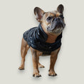 Load image into Gallery viewer, Adjustable waterproof jacket with knit turtleneck and fleece lining. The fleece on the inside keeps your dog warm and comfortable and the knit turtleneck makes the outfit super chic. It is fitted with adjustable velcro straps on the back, black fleece lining for comfort and came