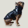 Load image into Gallery viewer, Adjustable waterproof jacket with knit turtleneck and fleece lining. The fleece on the inside keeps your dog warm and comfortable and the knit turtleneck makes the outfit super chic. It is fitted with adjustable velcro straps on the back, black fleece lining for comfort and came
