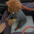 Cargar la imagen en la vista de la galería, Voyage . Violet in Voyagecarrier .00 – Nala's Pet Boutique