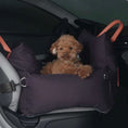Cargar la imagen en la vista de la galería, Voyage . Violet in Voyagecarrier .01 – Nala's Pet Boutique