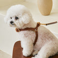 Cargar la imagen en la vista de la galería, ROMA HARNESS view 12 – Nala's Pet Boutique