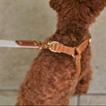 Cargar la imagen en la vista de la galería, ROMA HARNESS in Ad39edadf11239bac6b Da2bf25b – Nala's Pet Boutique