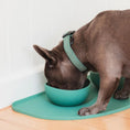 Cargar la imagen en la vista de la galería, Silicone Bowl in B0a9009 – Nala's Pet Boutique