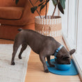Cargar la imagen en la vista de la galería, Silicone Bowl in B0a9043 433c – Nala's Pet Boutique