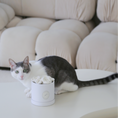 Load image into Gallery viewer, Flora Eterna Cat Toy