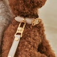Cargar la imagen en la vista de la galería, MACARON Collar product shot – Nala's Pet Boutique