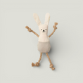 Load image into Gallery viewer, Bunny Rope Cat Toy