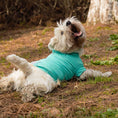 Cargar la imagen en la vista de la galería, Gobi Sun Protection Tee in Gobi6 – Nala's Pet Boutique