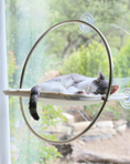 Load image into Gallery viewer, Orbit Window Hammock
