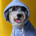 Load image into Gallery viewer, Stripe Hoodie