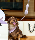 Load image into Gallery viewer, FurRéal Retractable Leash