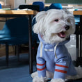 Load image into Gallery viewer, Stripe Hoodie