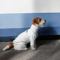 Load image into Gallery viewer, Yours Sweater