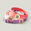 Cargar la imagen en la vista de la galería, Tailr Everyday Collar in Tailr Slide – Nala's Pet Boutique