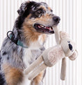 Cargar la imagen en la vista de la galería, Sandstone Koala in Toy Resized – Nala's Pet Boutique
