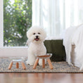 Load image into Gallery viewer, Oreo Glass Table - Nala's Pet Furniture Boutique