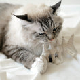 Load image into Gallery viewer, Fishbone catnip toy for cats