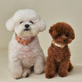 Cargar la imagen en la vista de la galería, MACARON Collar view 10 – Nala's Pet Boutique
