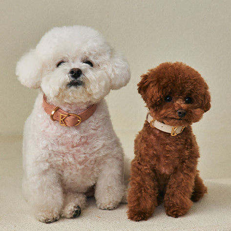 MACARON Collar view 10 – Nala's Pet Boutique