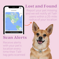 Load image into Gallery viewer, Tailr Slide Pet Tag
