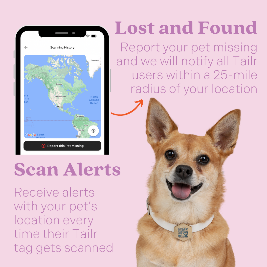 Tailr Slide Pet Tag