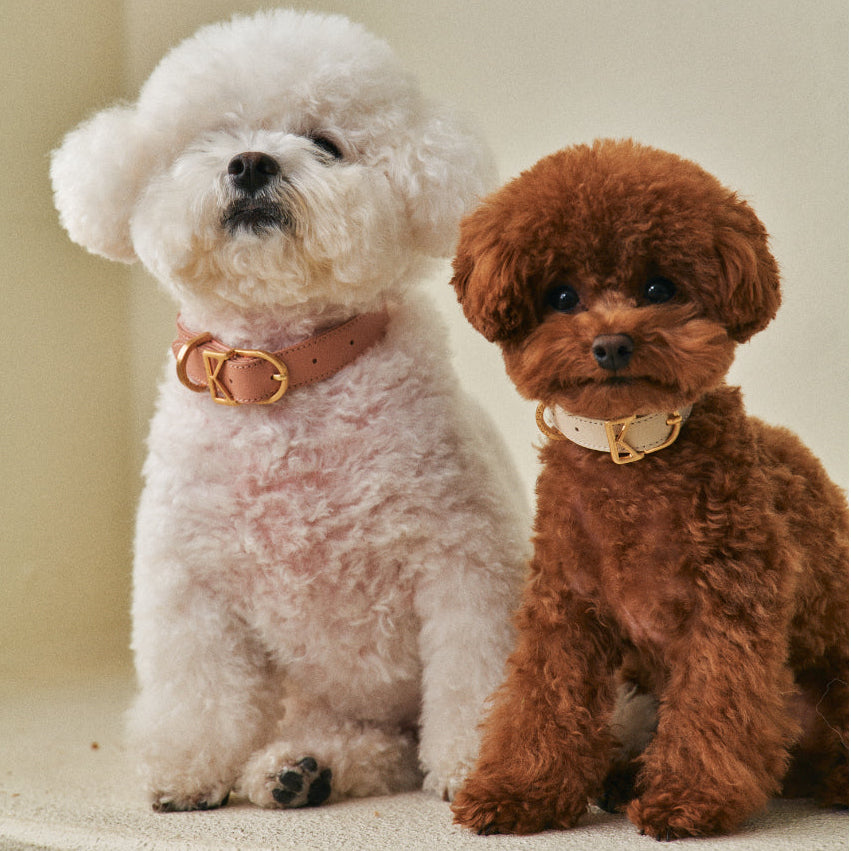 MACARON Collar view 9 – Nala's Pet Boutique